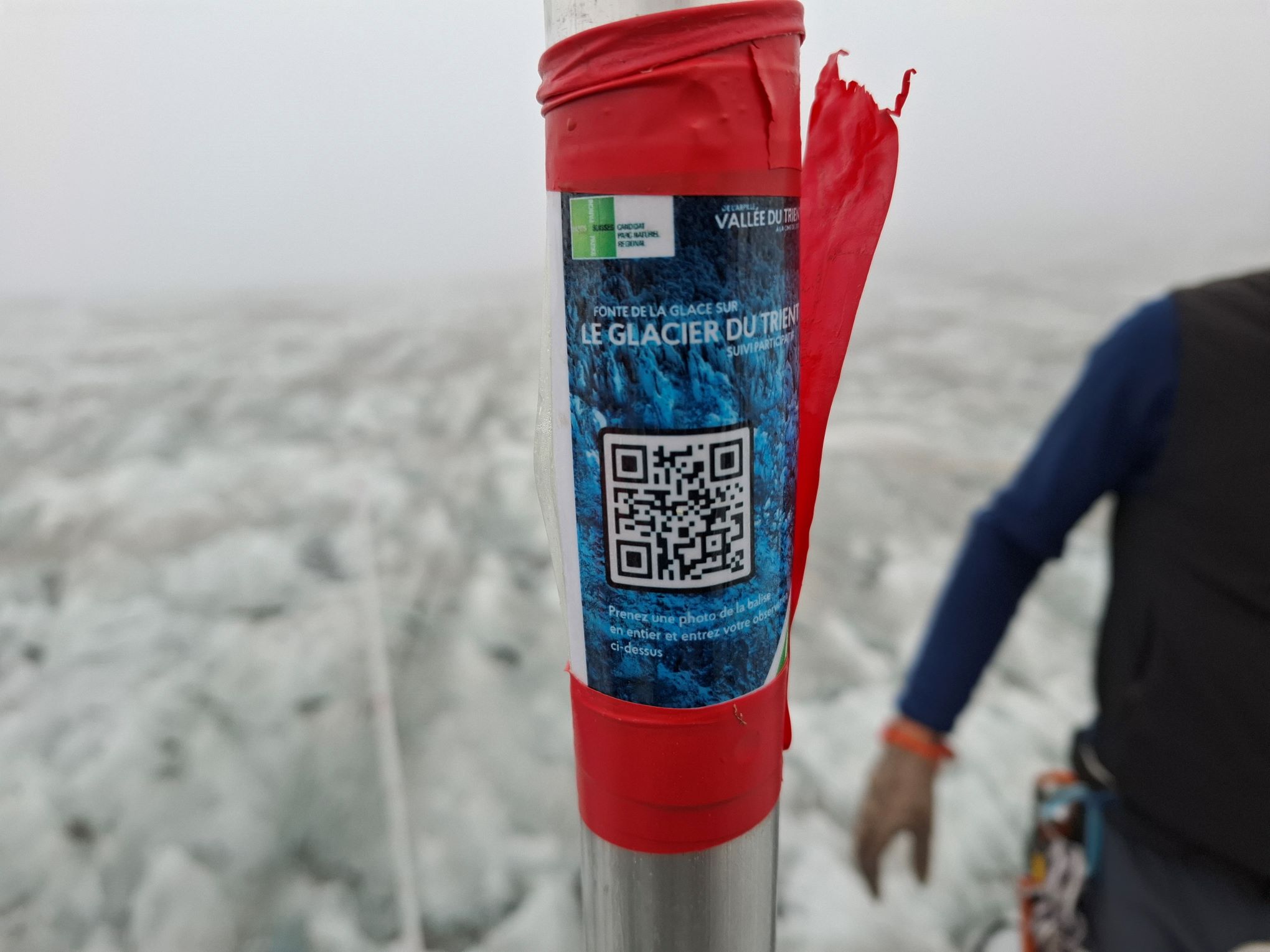 Sciences participatives au glacier du Trient